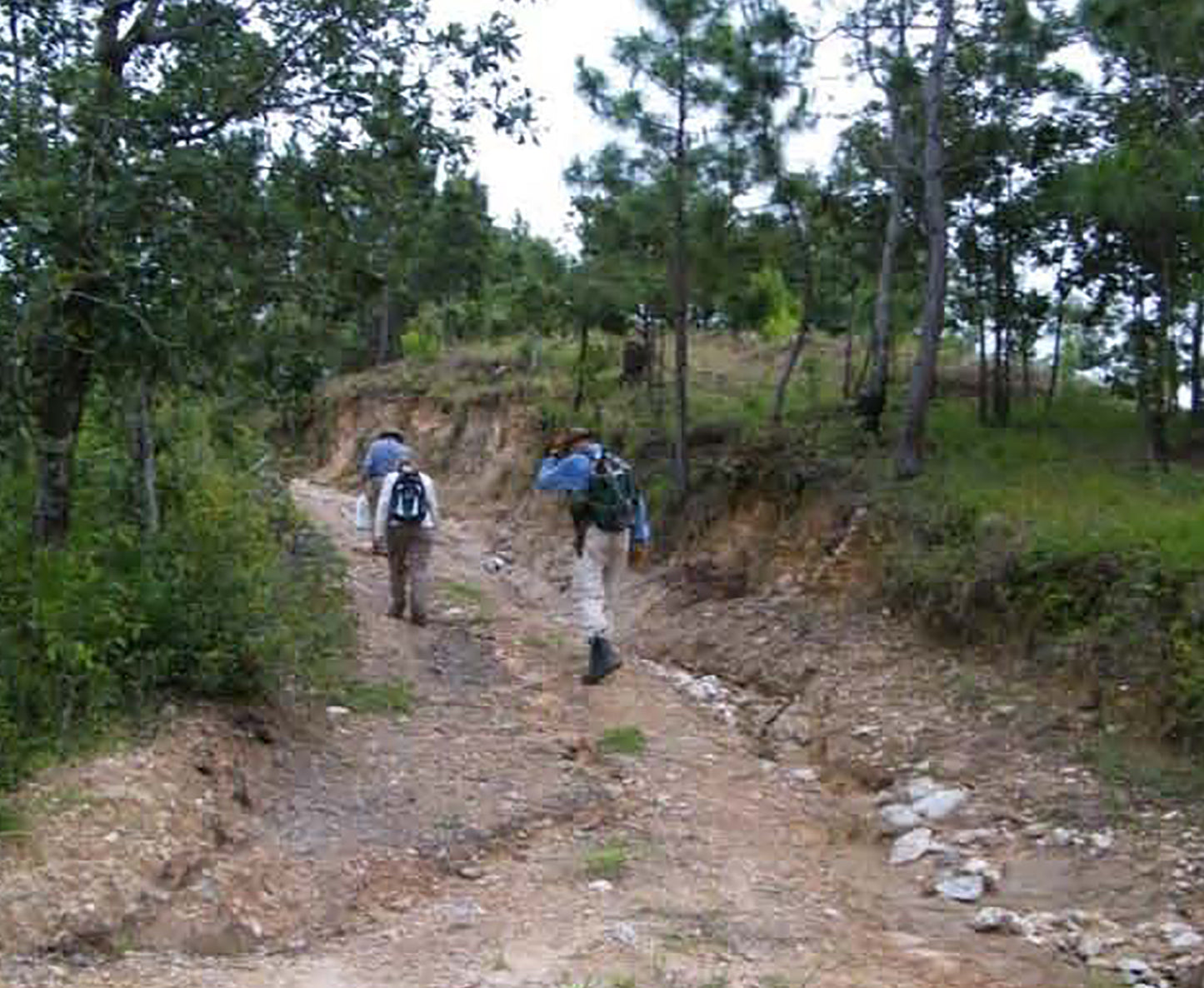 Ancient Trail Systems in the Salama Basin